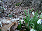 DSCF1574.JPG
