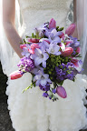 MRP_2945_1.JPG
