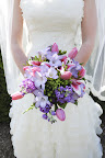 MRP_2950_1.JPG
