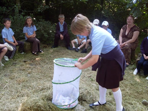 Releasing the Butterflies