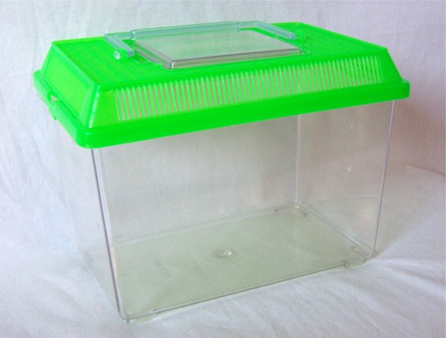 [carriergreen5.jpg]