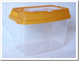 carrieryellow