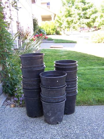 [August 2010 (31)[5].jpg]
