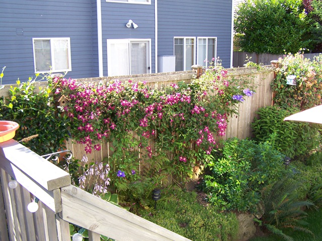 [August 2010 (10)[5].jpg]