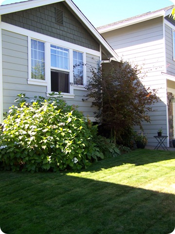 August 2010 (44)