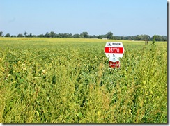 pioneer seed 1 pioneer seed 1
