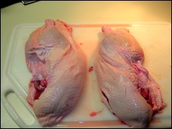 half duck half duck