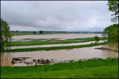 flooded pasture