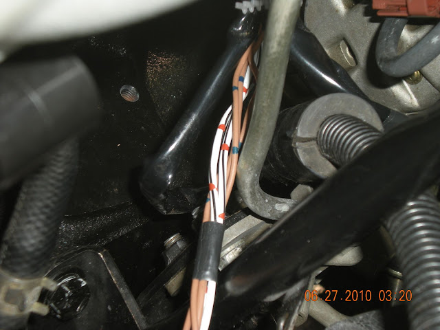 DSCN0100.JPG