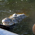 Dsc01705