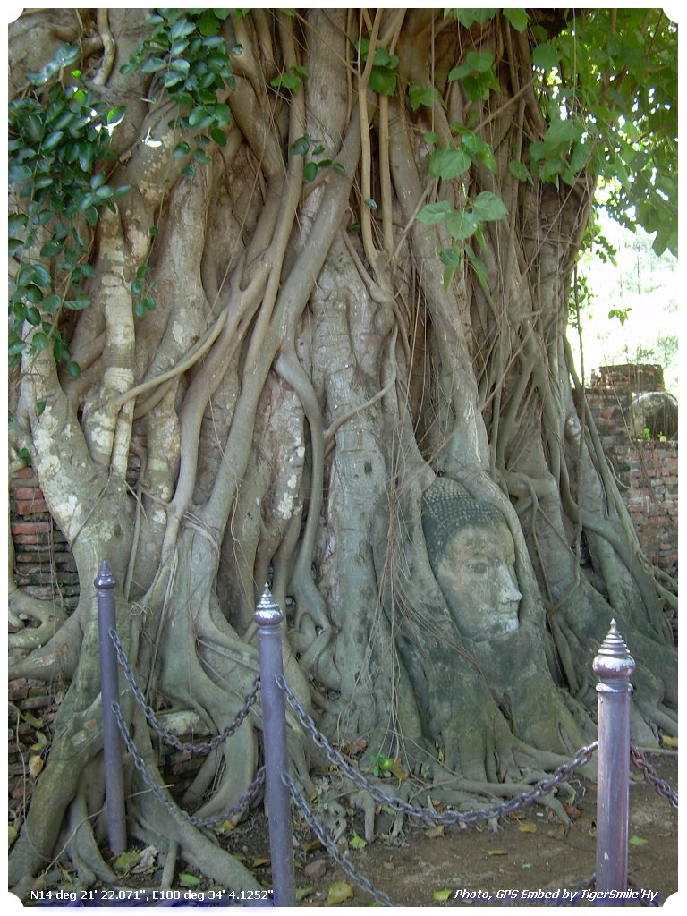 รูปภาพ