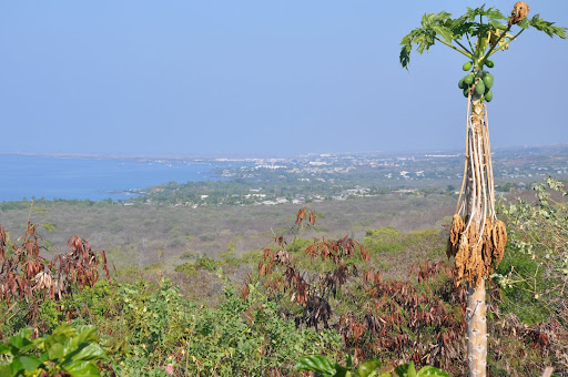 Scenic Point on Kamehameha III Rd