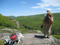 IMG_2557.JPG Photo