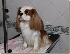 Scott a 2 anni Scott a 2 anni
