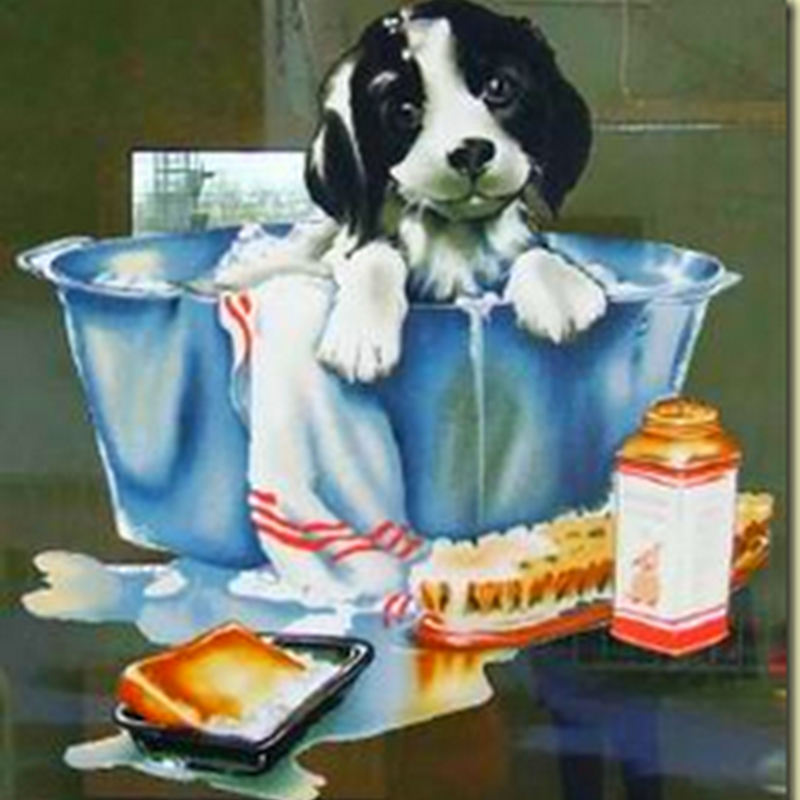 Frasi Auguri Di Buon Compleanno Cani Frasi Di Cuore