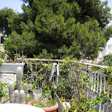 Apartment for Sale in Arnona - Jerusalem