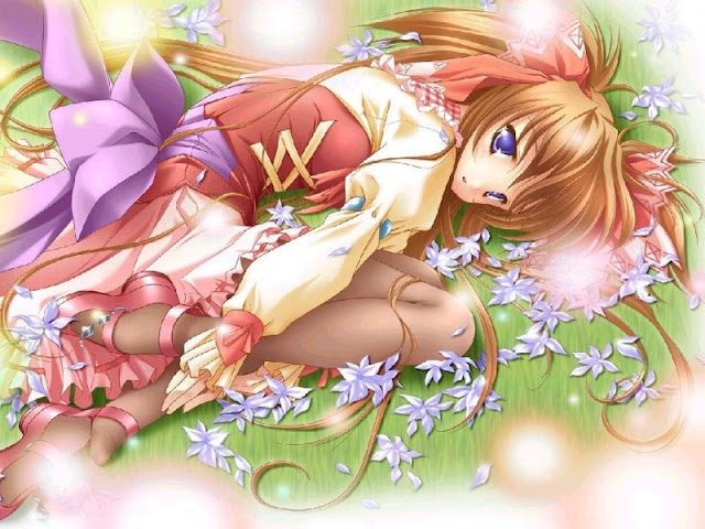 88662-20050612143606