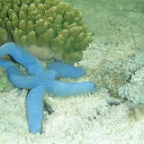 PA100033.JPG