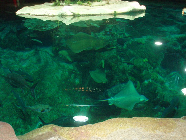 [P5222005[2].jpg]