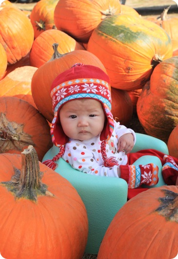 cute pumpkin