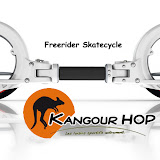 freerider skatecycle