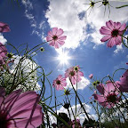 beautiful