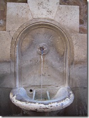 DSCN6346