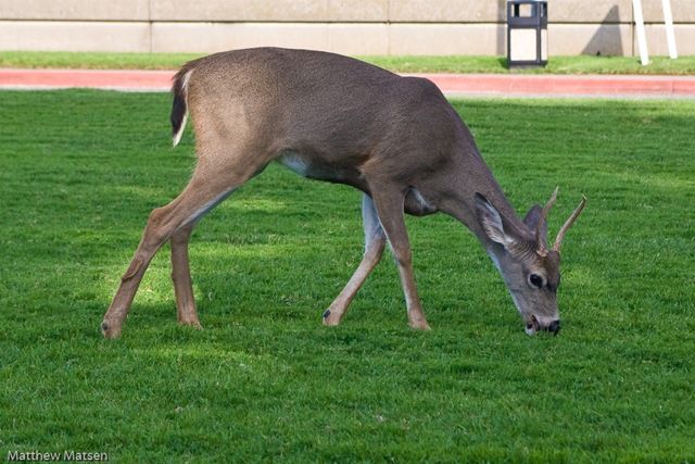 [California_oct08-6.jpg]