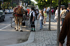 IMG_1756.JPG