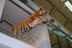IMG_2047.JPG
