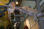 IMG_2058.JPG