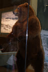 IMG_2065.JPG
