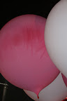 IMG_2203.JPG