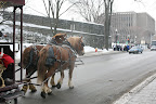 IMG_5110.JPG