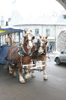 IMG_5114.JPG