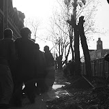 IMG_5875.JPG