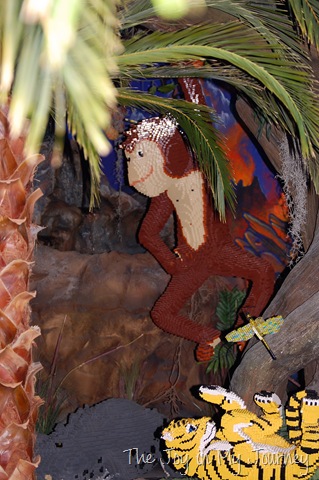 [DSC_0034[11].jpg]