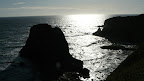P1010017.JPG