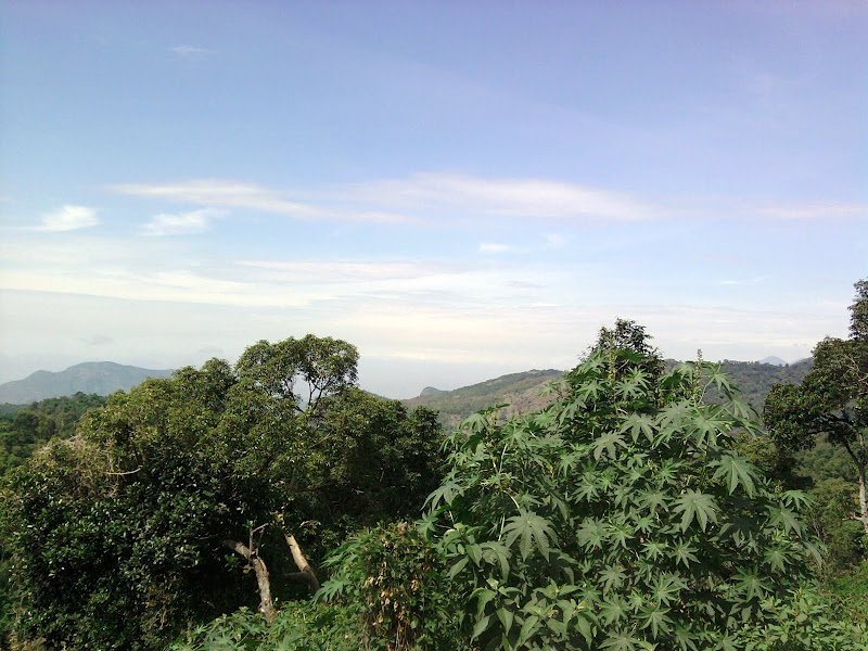 கொடைக்கானல் - பண்ணைக்காடு சாலை கொடைக்கானல் - பண்ணைக்காடு சாலை