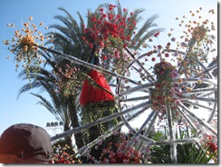 IMG_0949 IMG_0949