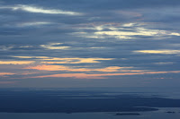 IMG_8847.JPG