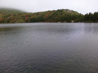 CIMG2439.jpg Photo