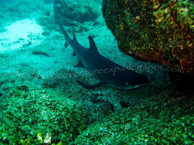 [panacent-8043[5].jpg]