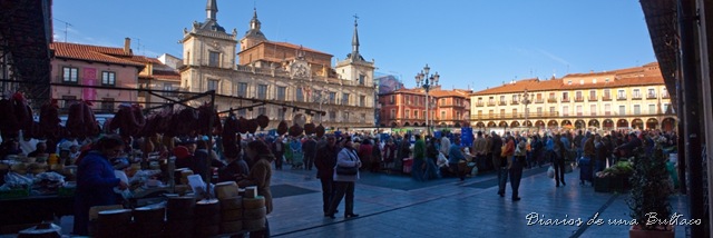[Plaza-6307_pan1024[19].jpg]