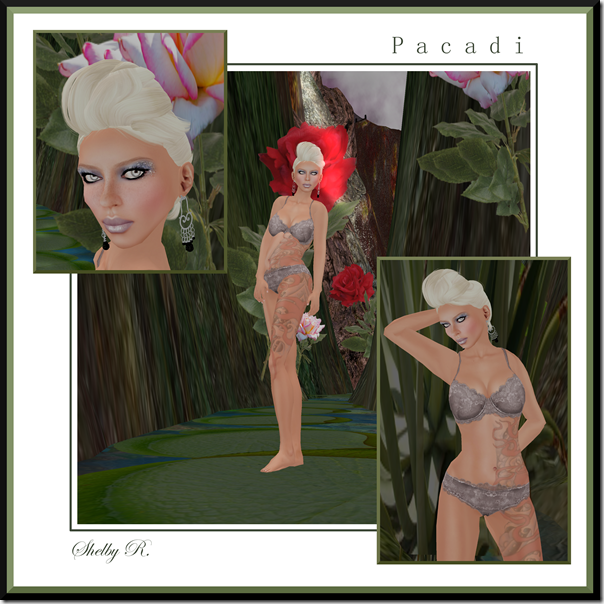 Lingerie7_001b Lingerie7_001b