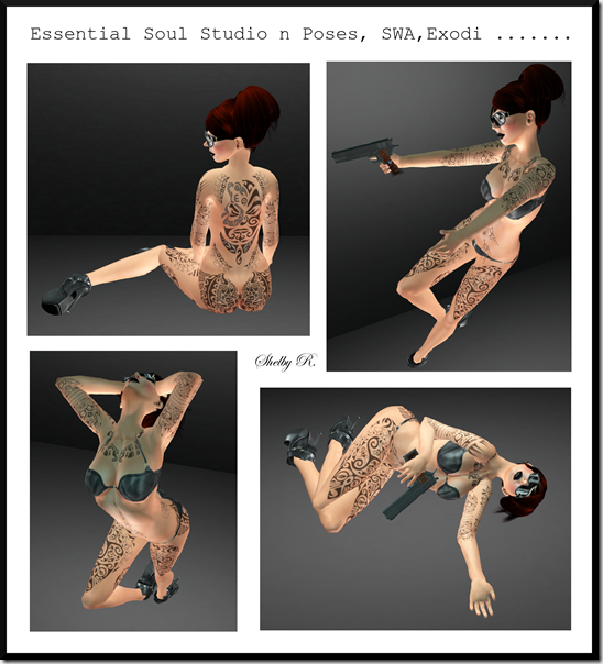 ESSStudio ESSStudio
