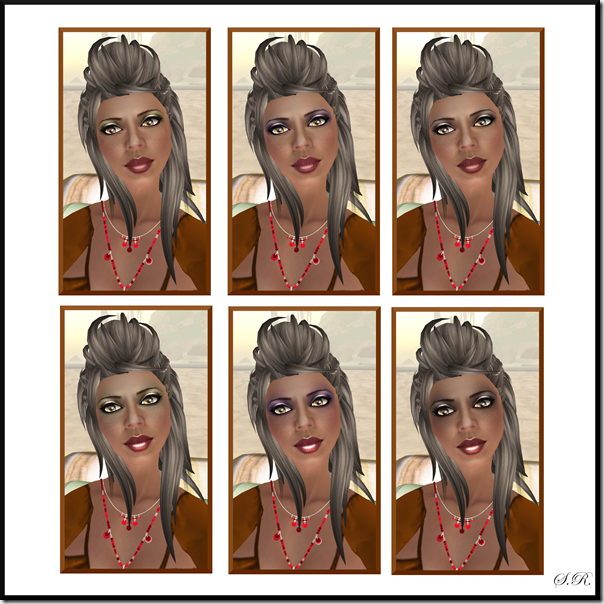SSV3Faceb SSV3Faceb