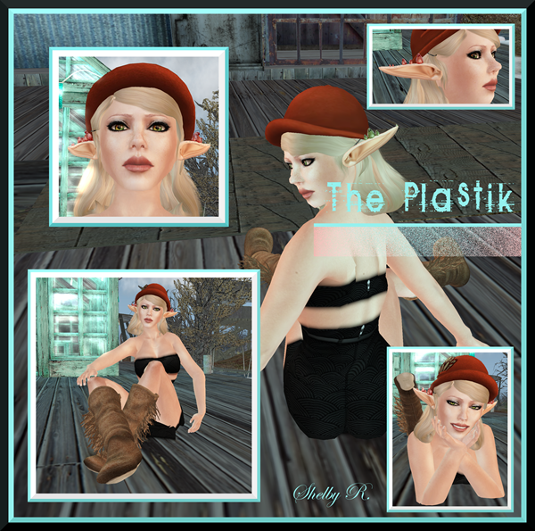 [Plasticears_001b[10].png]