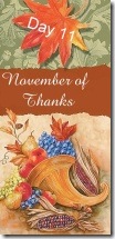 November of Thanks 11 at 'Rebecca Writes'