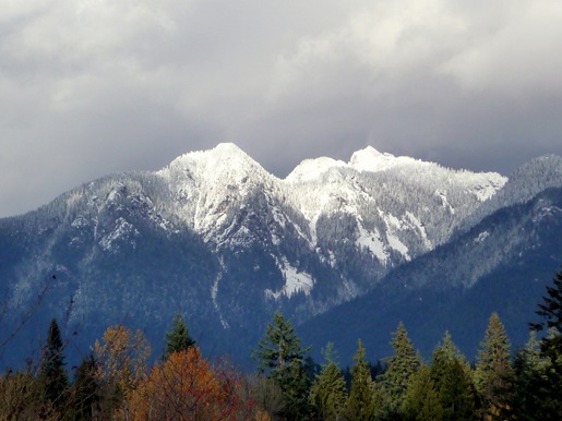 [P1070788[4].jpg]